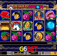 Exclusive Offers G6BET